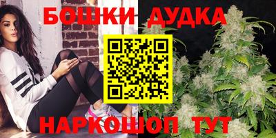 гашик Заводоуковск