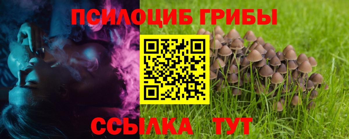 Псилоцибиновые грибы Cubensis Ярославль