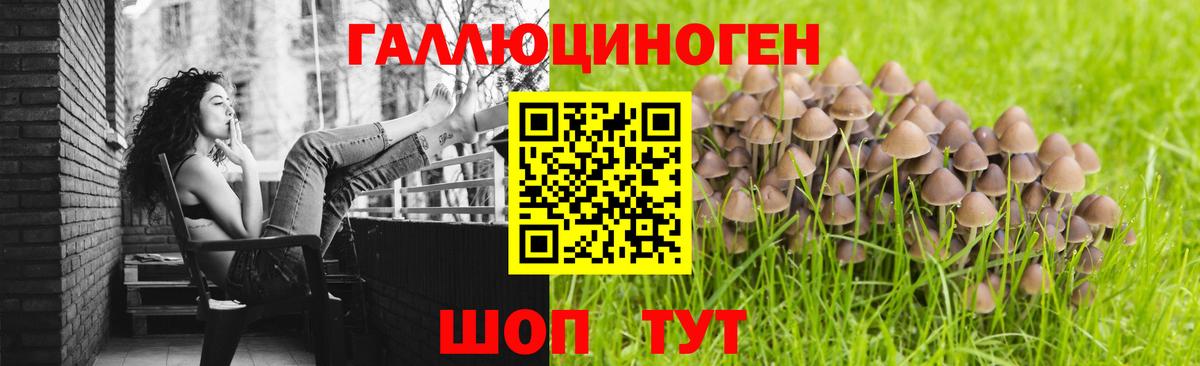 Ярославль  Галлюциногенные грибы GOLDEN TEACHER  Вход с VPN 